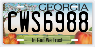 GA license plate CWS6988