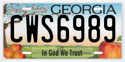 GA license plate CWS6989