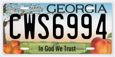 GA license plate CWS6994