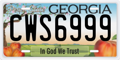 GA license plate CWS6999