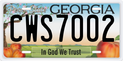 GA license plate CWS7002