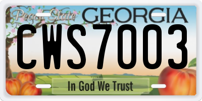 GA license plate CWS7003