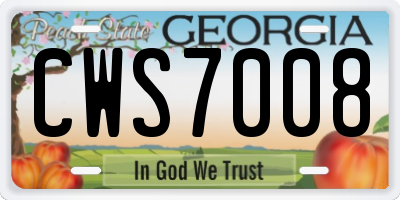 GA license plate CWS7008