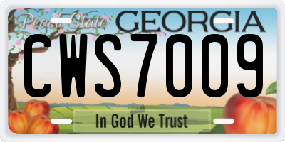 GA license plate CWS7009