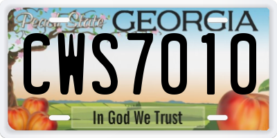 GA license plate CWS7010
