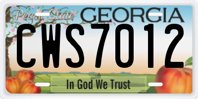 GA license plate CWS7012