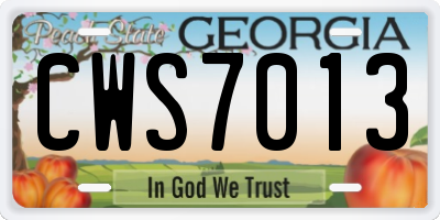 GA license plate CWS7013