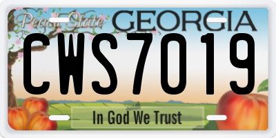 GA license plate CWS7019