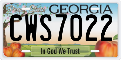 GA license plate CWS7022