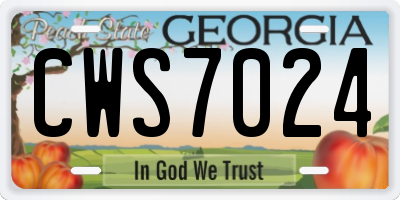 GA license plate CWS7024