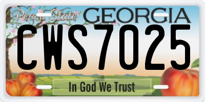 GA license plate CWS7025