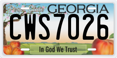 GA license plate CWS7026