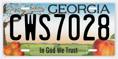 GA license plate CWS7028