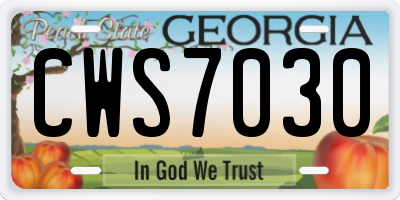 GA license plate CWS7030