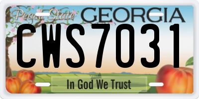 GA license plate CWS7031