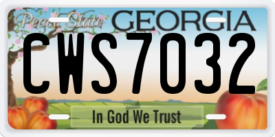 GA license plate CWS7032