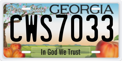 GA license plate CWS7033