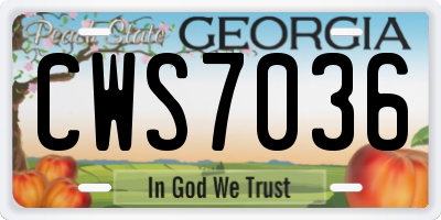 GA license plate CWS7036