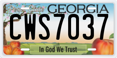 GA license plate CWS7037