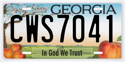 GA license plate CWS7041