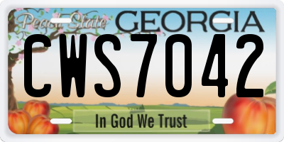 GA license plate CWS7042