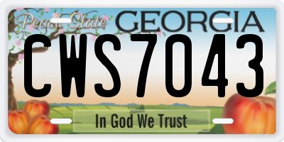 GA license plate CWS7043