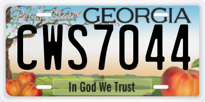 GA license plate CWS7044