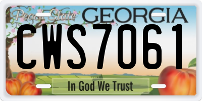 GA license plate CWS7061