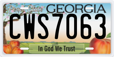 GA license plate CWS7063