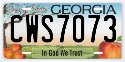 GA license plate CWS7073