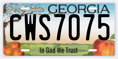 GA license plate CWS7075
