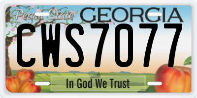 GA license plate CWS7077
