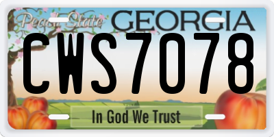 GA license plate CWS7078