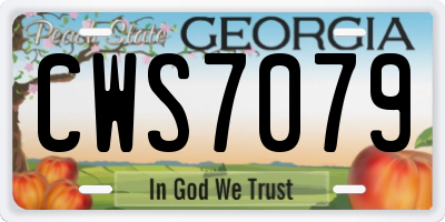 GA license plate CWS7079