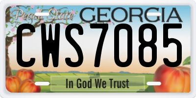 GA license plate CWS7085