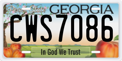 GA license plate CWS7086
