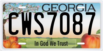 GA license plate CWS7087
