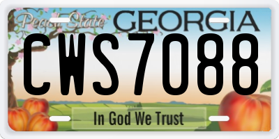 GA license plate CWS7088