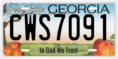GA license plate CWS7091