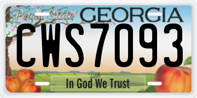 GA license plate CWS7093
