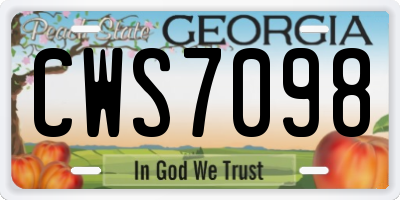 GA license plate CWS7098