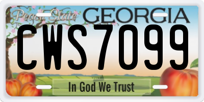 GA license plate CWS7099