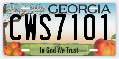 GA license plate CWS7101