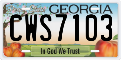GA license plate CWS7103