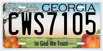GA license plate CWS7105