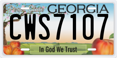 GA license plate CWS7107