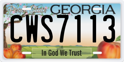 GA license plate CWS7113