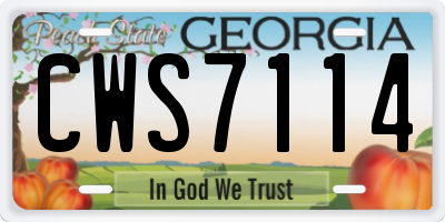 GA license plate CWS7114
