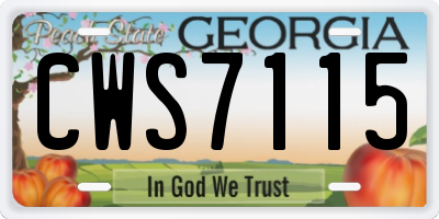 GA license plate CWS7115