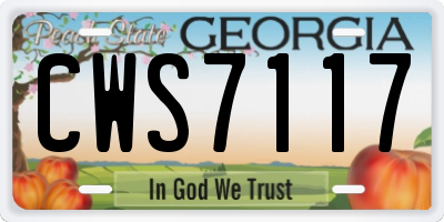 GA license plate CWS7117
